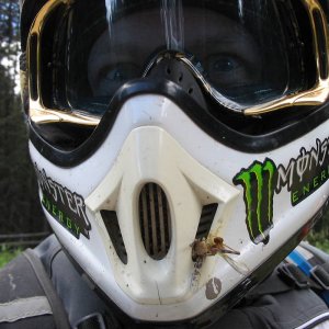 LSDS_pre-ride_08_010