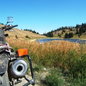 gooselake