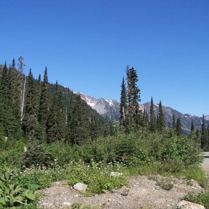 Hurley Pass Summit