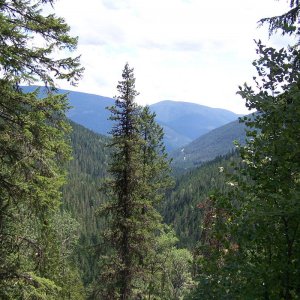 Near 6 Mile