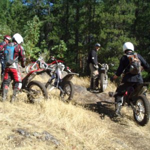 August_trials_007