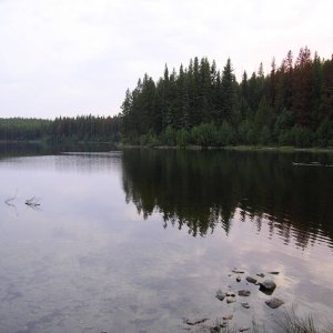 IMGP01211