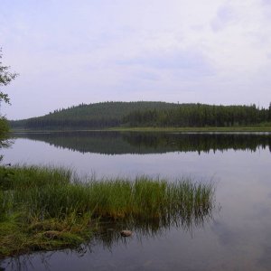 IMGP01191