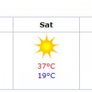 Forecast