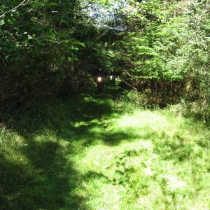 Bajacouple MI trails