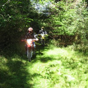 Bajacouple  MI trails