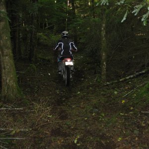 MI trails