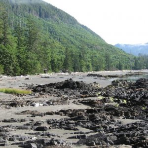 North_Island_Aug_08_021