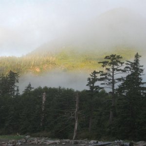 North_Island_Aug_08_020