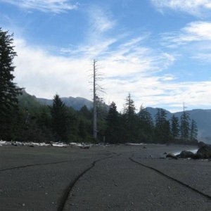 North_Island_Aug_08_029