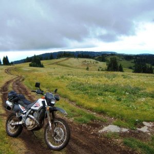 alpine_rolling
