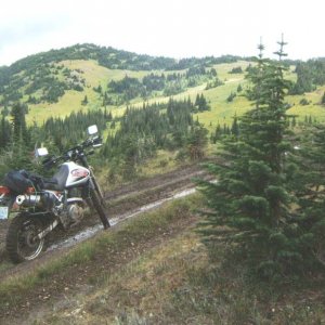 alpine_Mobey