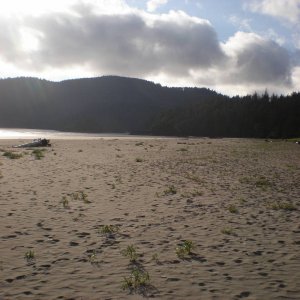 Ross_Dan_Island_adventure_2008_004