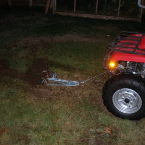 Dangerous Stump Removal