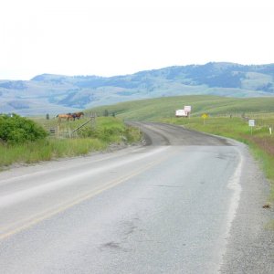 P1070688