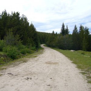 P1070664