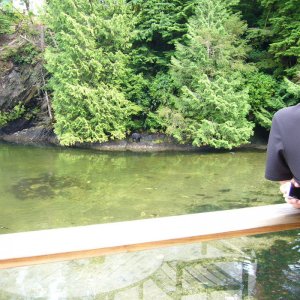 Port Renfrew Hotel...guest on the shore.