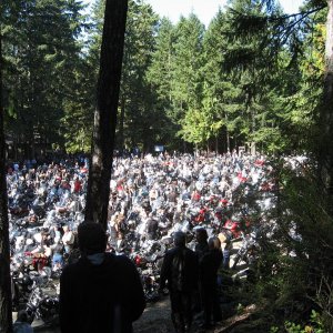 P_A_Toy_Run_2008_005