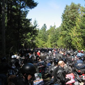 P_A_Toy_Run_2008_009