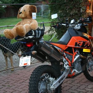 toy_run_o8_005
