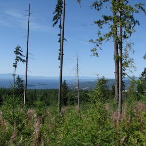 Above Sechelt