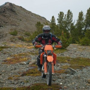 mark on shulaps