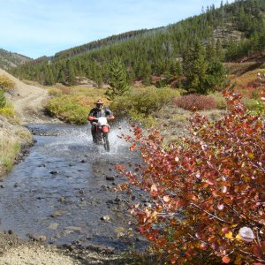 Dualsport_fall_2008_540