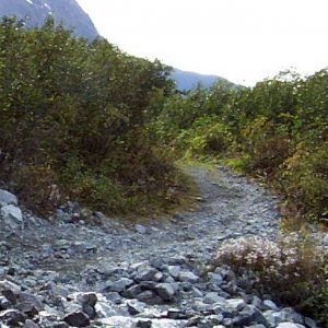 A More Modest Trail