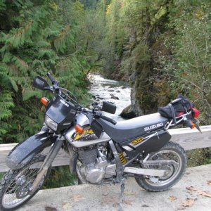 Chehalis River Bridge