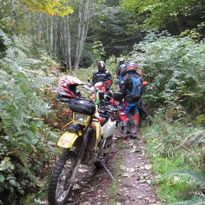 RideOct19-2008_001