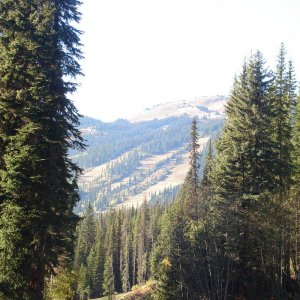 Sun Peaks Ski-Run