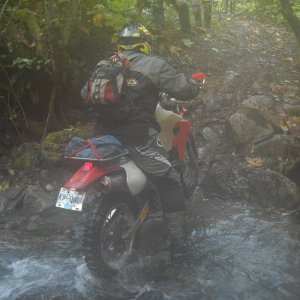 2008 Noob Ride