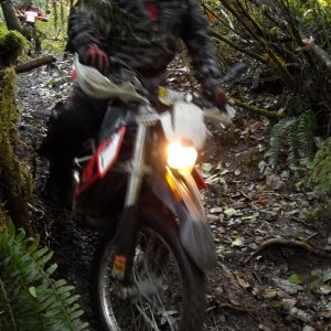 2008 Noob Ride