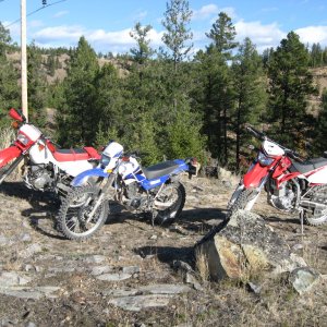 Oct 25/08 ride near Cranbrook