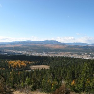 IMG_0502