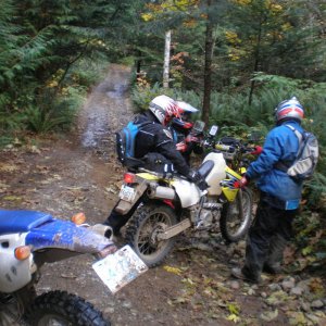 Summer_Riding_2008_066