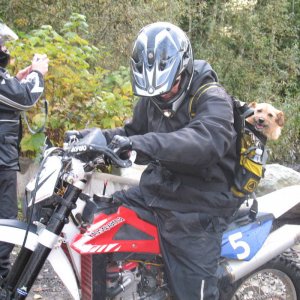 IMG_3462_copy