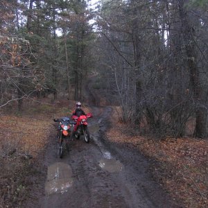 NOVEMBER_11_08_020