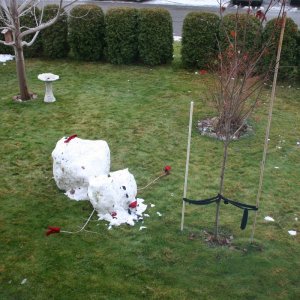 snowman_NOV_28_08_003