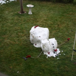 snowman_NOV_28_08_0081