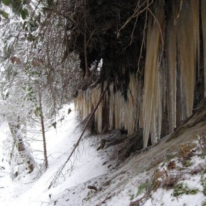 10' icicles