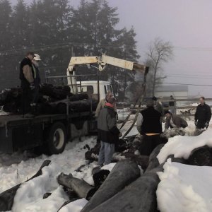 Photo_011709_015