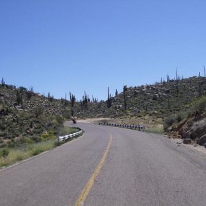 baja008