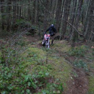 Trials_2009_005