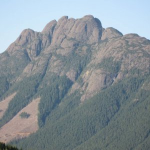 IMG_1311
