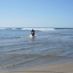 Baja 2009