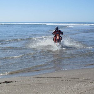 Baja 2009