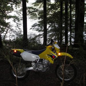 IMGP6462