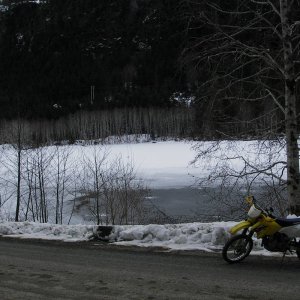 IMGP6491