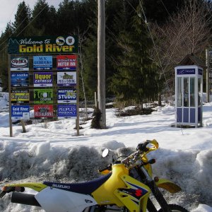 IMGP6503